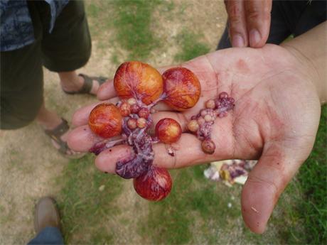 �����ں���ʡ�I���h���u��(ch��ng)�����g(sh��)ָ��(d��o)���D�V�W(xu��)��(x��)