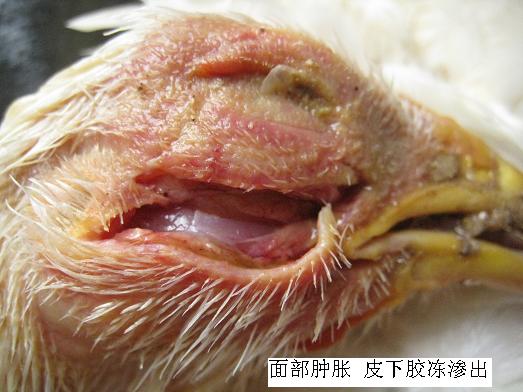 ���ʕr(sh��)��(y��ng)ԓ��ʲô��λ��ʲô��λ�l(f��)��ʲô����