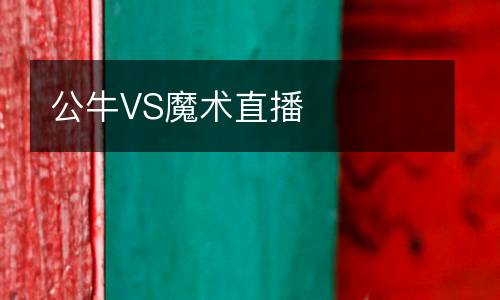 公牛VS魔術直播